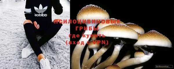 хмурый Алзамай