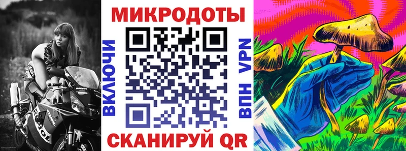 MEGA как войти  Апатиты  Псилоцибиновые грибы Cubensis  где найти  